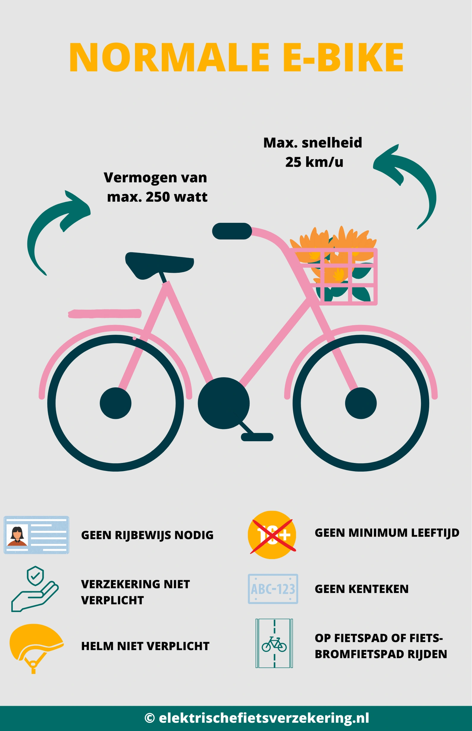 Infographic Regels Normale E-bike